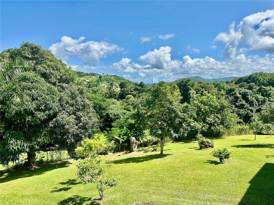 For Sale: $475,000 (7 beds, 4 baths, 0 Square Feet)