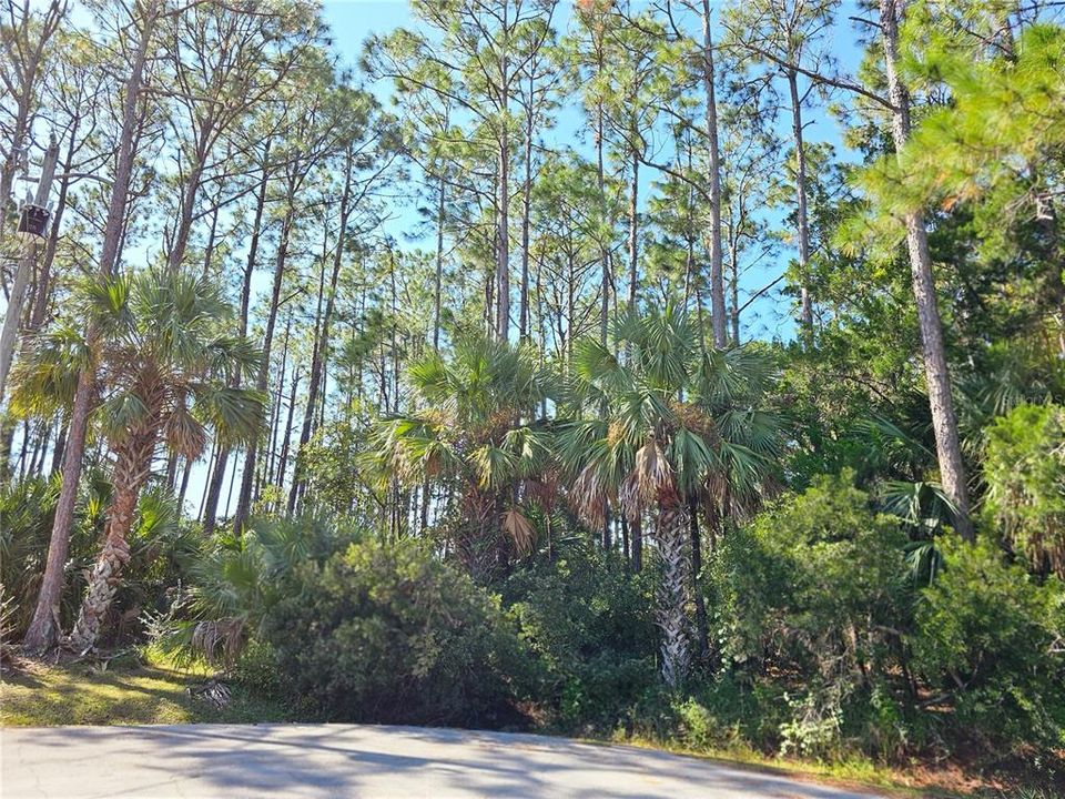 For Sale: $77,500 (0.27 acres)