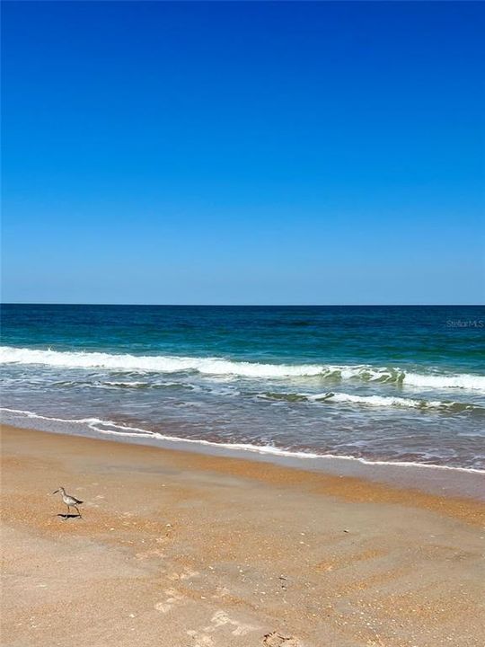 待售: $739,000 (3 贝兹, 2 浴室, 1462 平方英尺)