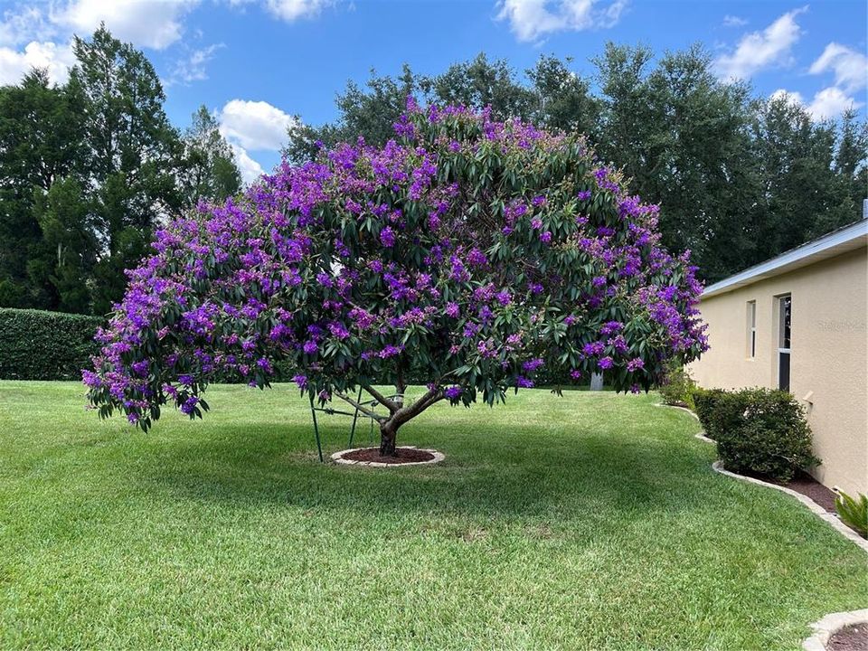 For Sale: $421,900 (4 beds, 3 baths, 1927 Square Feet)