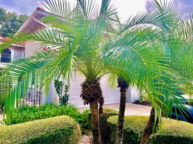 For Sale: $525,900 (3 beds, 2 baths, 1850 Square Feet)