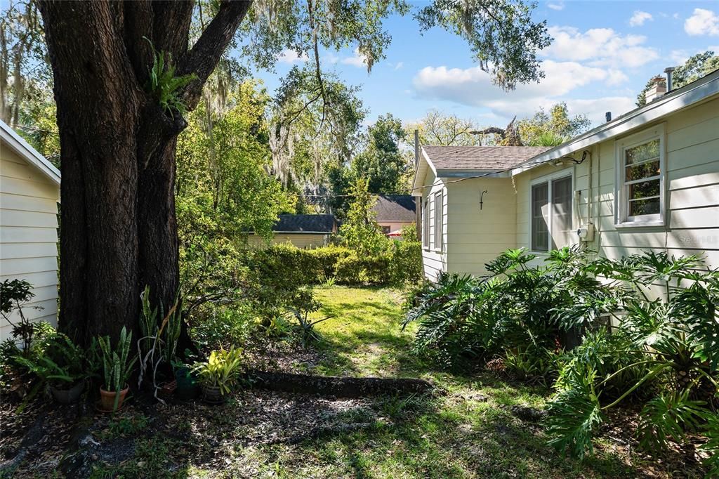 合同活跃: $349,900 (2 贝兹, 1 浴室, 1186 平方英尺)