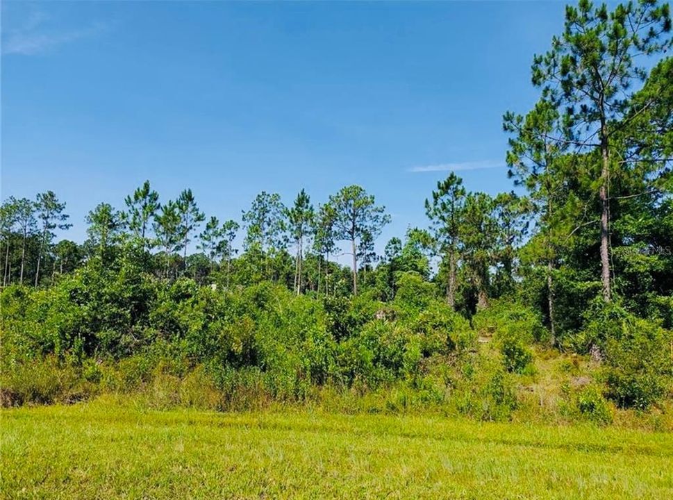 待售: $30,000 (1.00 acres)