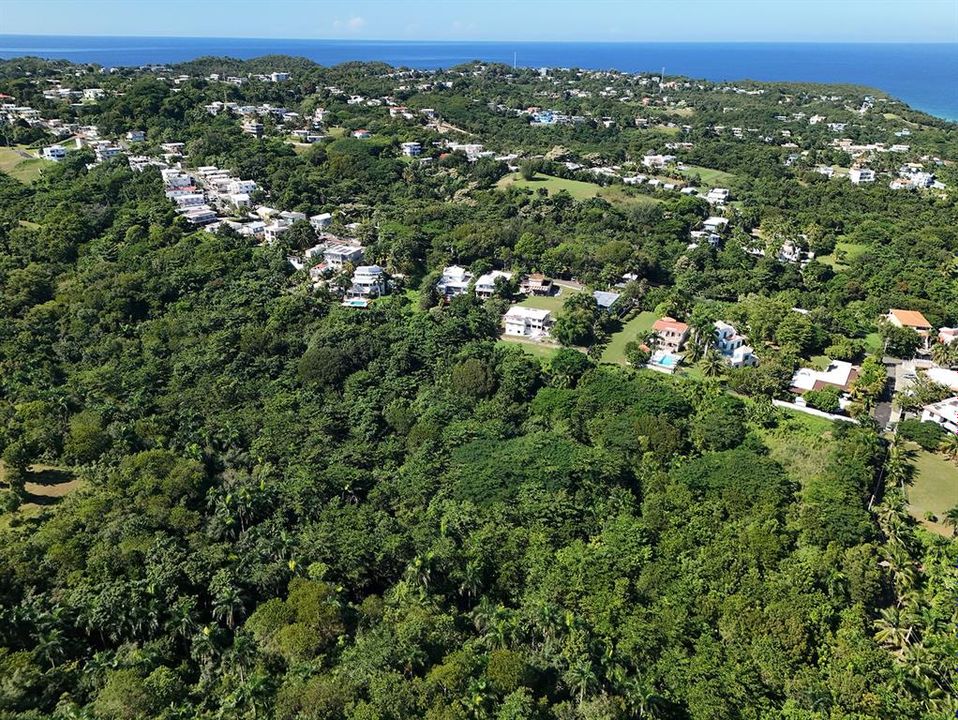 待售: $3,500,000 (7.16 acres)