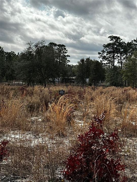 На продажу: $69,900 (2.31 acres)