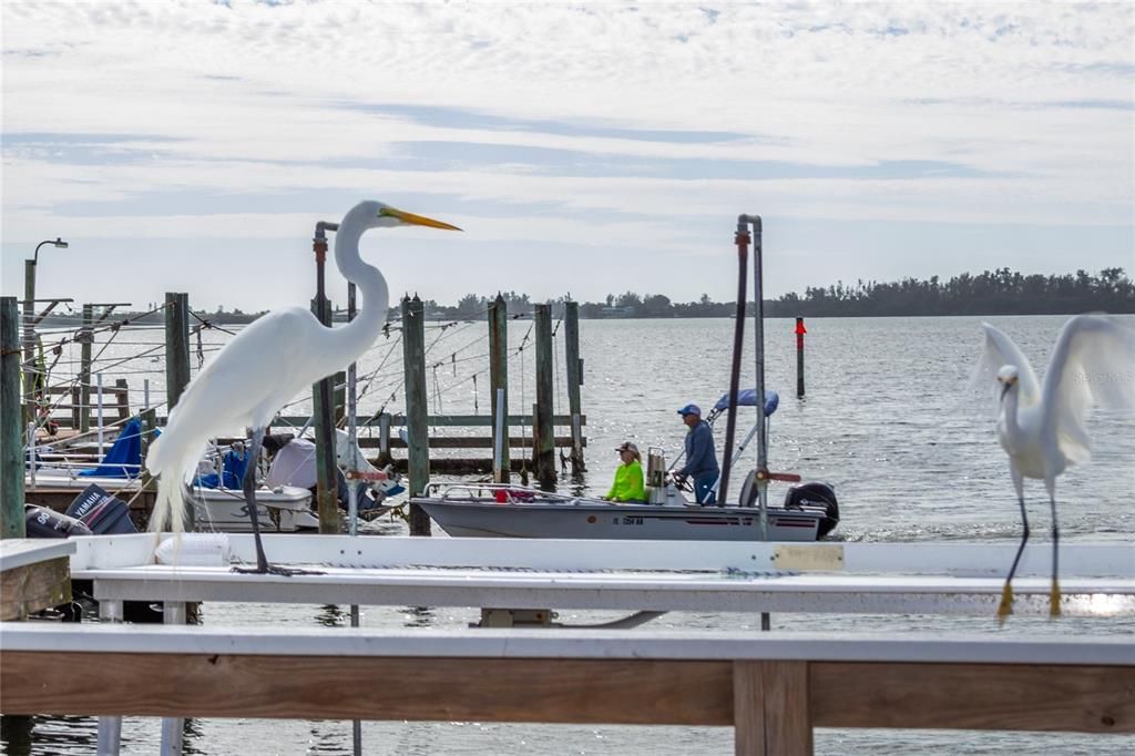 En Venta: $130,000 (0.02 acres)