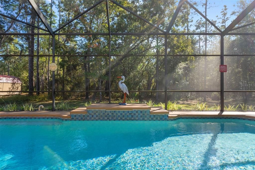 Под контрактом: $550,000 (3 спален, 3 ванн, 2596 Квадратных фут)