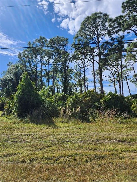 For Sale: $29,900 (0.26 acres)