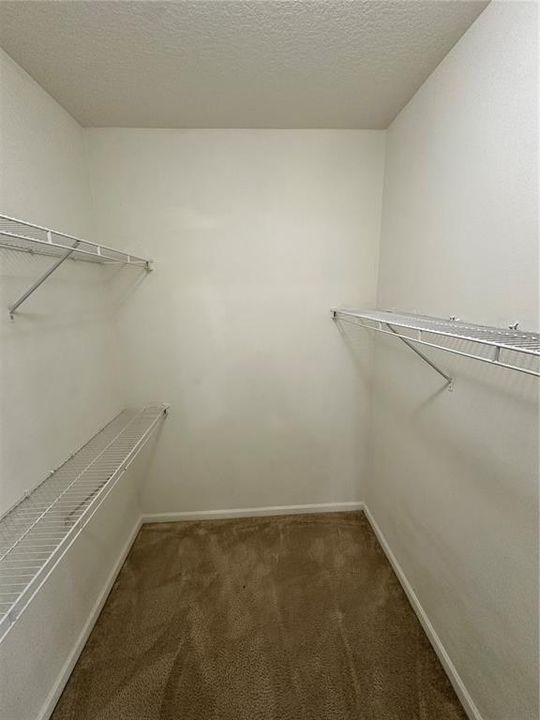 出租: $1,800 (2 贝兹, 2 浴室, 1132 平方英尺)