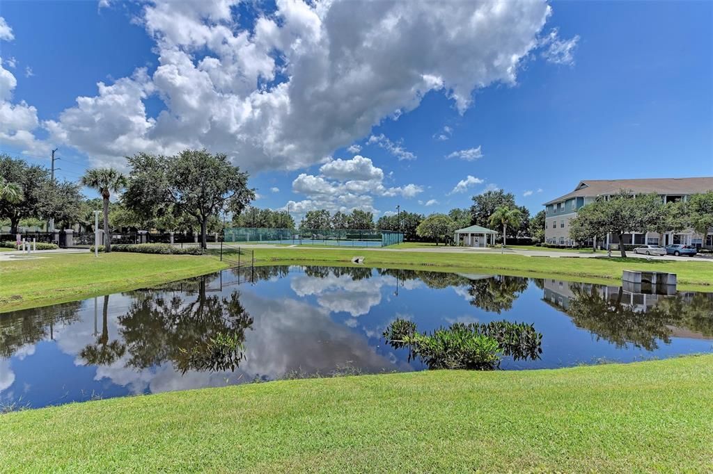 出租: $1,800 (2 贝兹, 2 浴室, 1132 平方英尺)