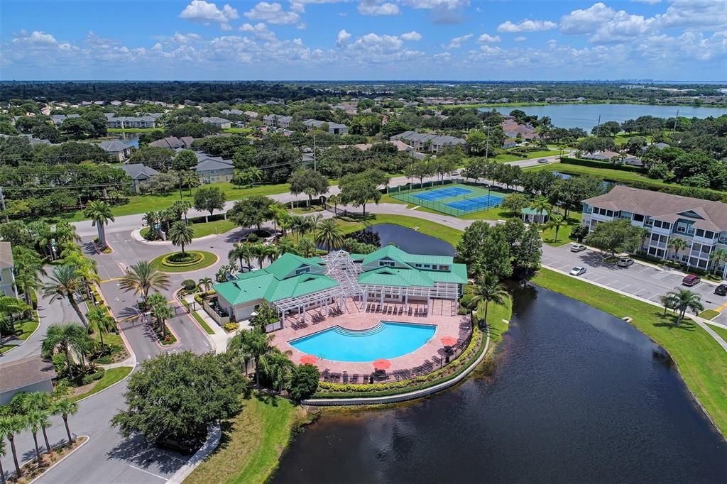 出租: $1,800 (2 贝兹, 2 浴室, 1132 平方英尺)