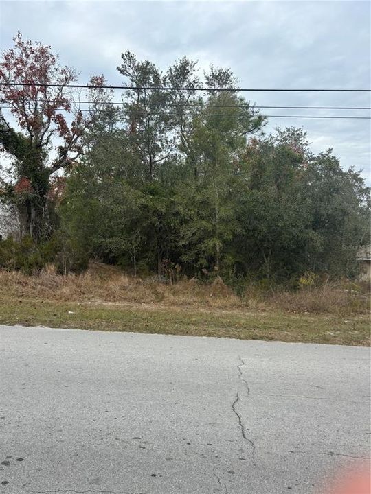 For Sale: $56,500 (0.23 acres)