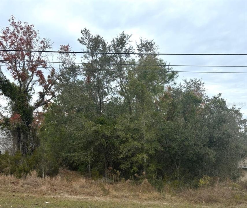 For Sale: $56,500 (0.23 acres)