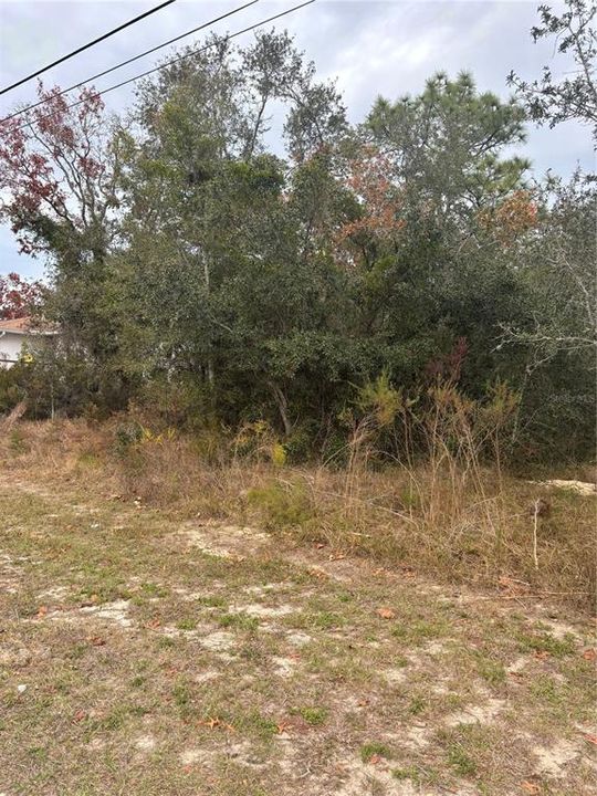 For Sale: $56,500 (0.23 acres)