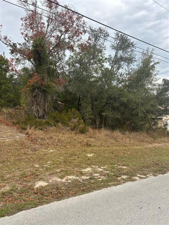 For Sale: $56,500 (0.23 acres)