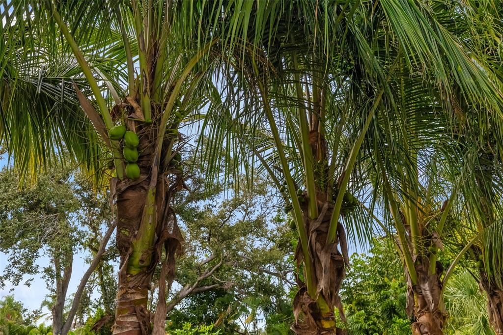 For Sale: $2,949,000 (4 beds, 3 baths, 2400 Square Feet)