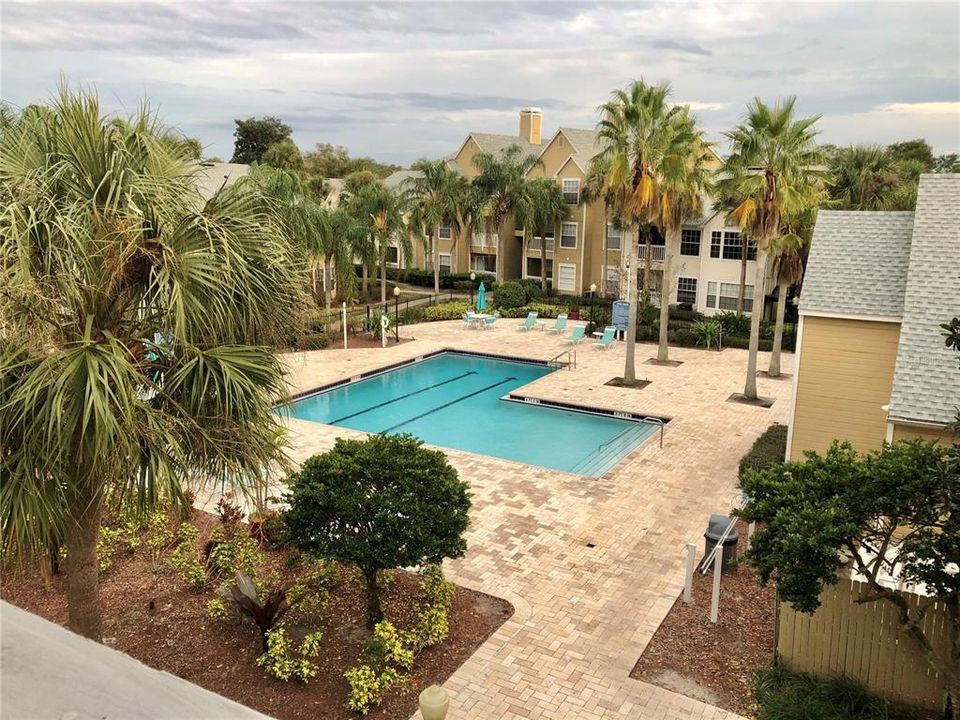 合同活跃: $1,350 (1 贝兹, 1 浴室, 627 平方英尺)