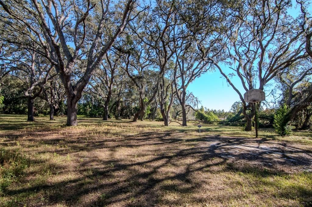 Active With Contract: $329,000 (0.99 acres)