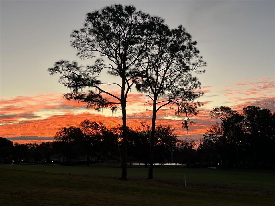 En Venta: $489,000 (3 camas, 2 baños, 2233 Pies cuadrados)