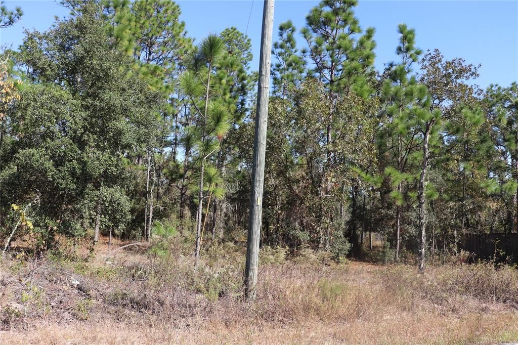 待售: $28,500 (1.06 acres)