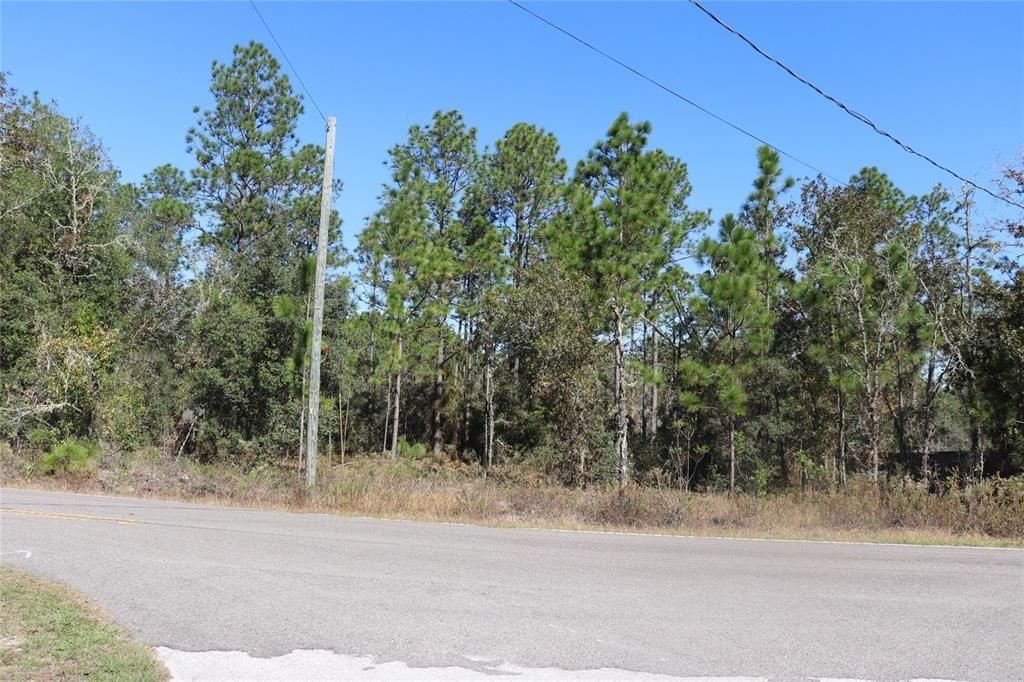 待售: $28,500 (1.06 acres)