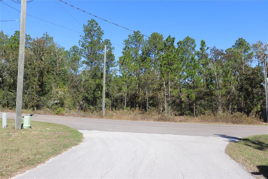 待售: $28,500 (1.06 acres)