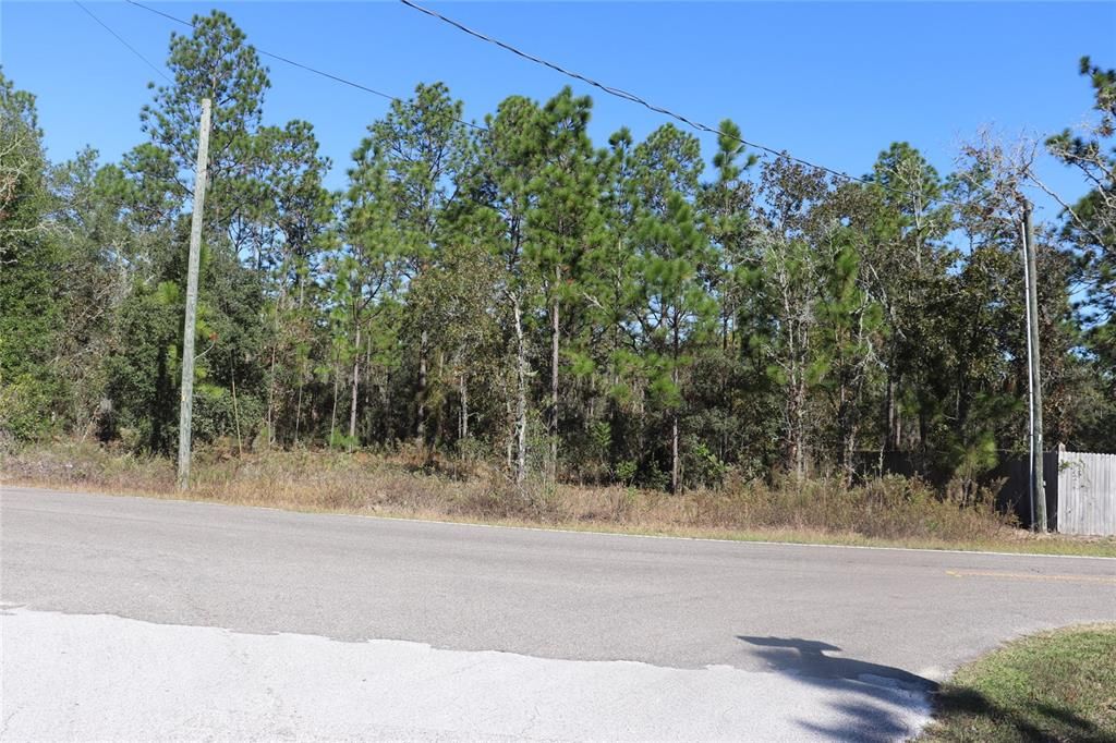 待售: $28,500 (1.06 acres)