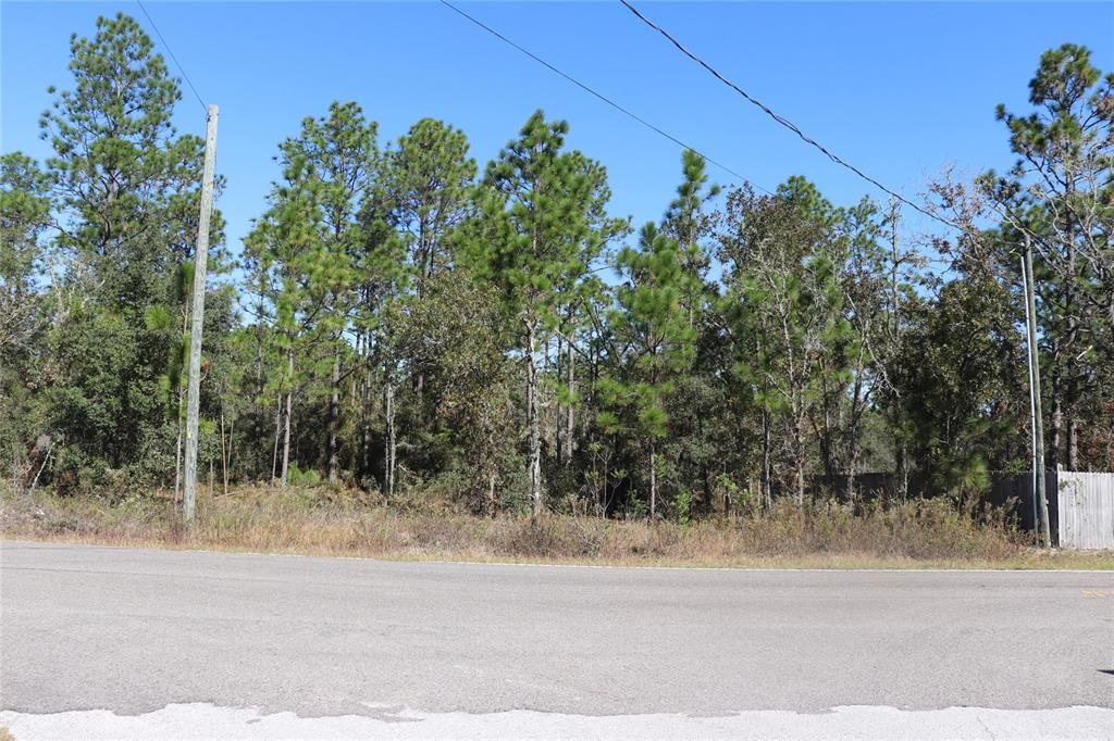 待售: $28,500 (1.06 acres)