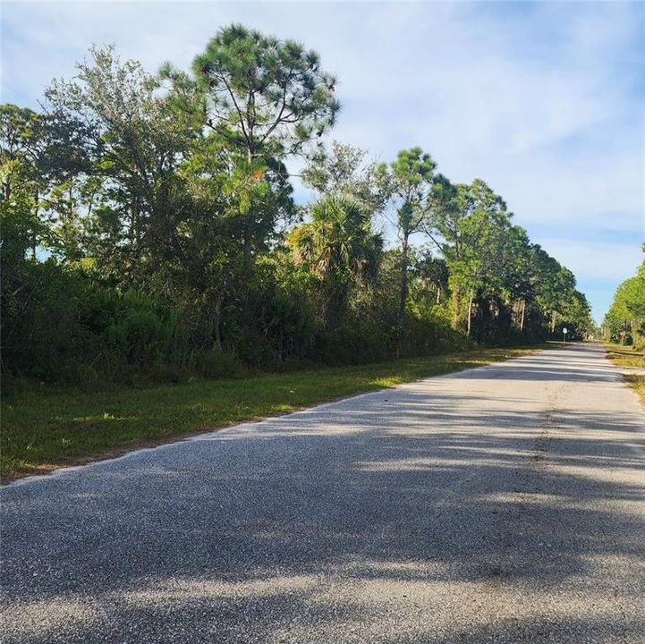 Active With Contract: $11,000 (0.23 acres)