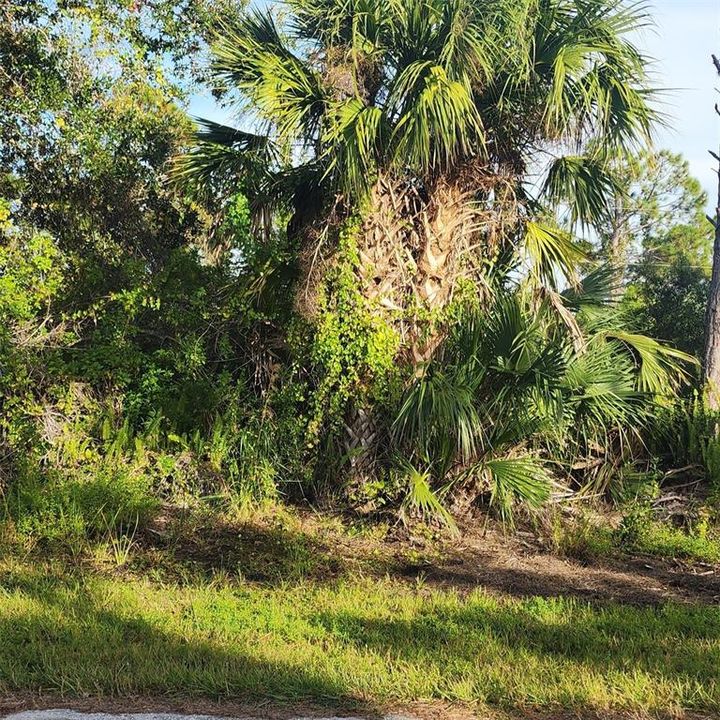 Active With Contract: $11,000 (0.23 acres)