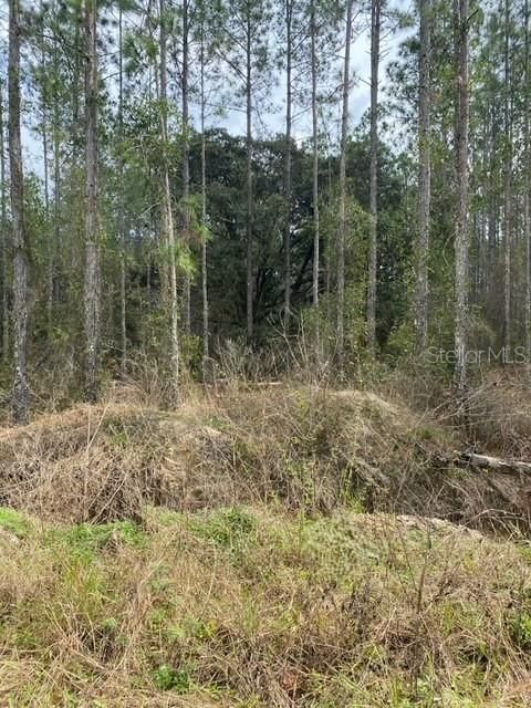 На продажу: $165,000 (5.00 acres)