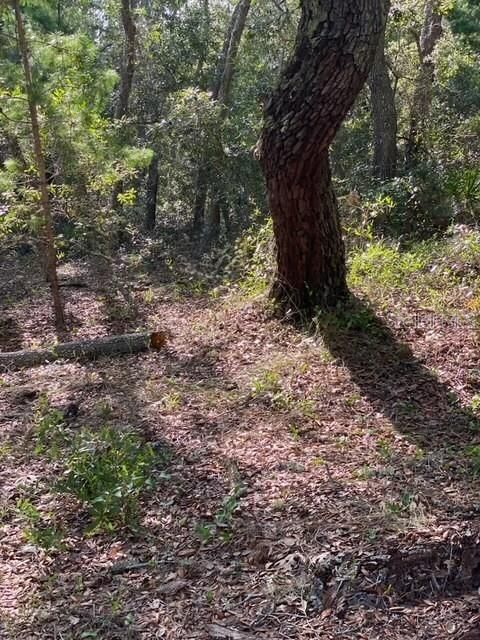 На продажу: $165,000 (5.00 acres)