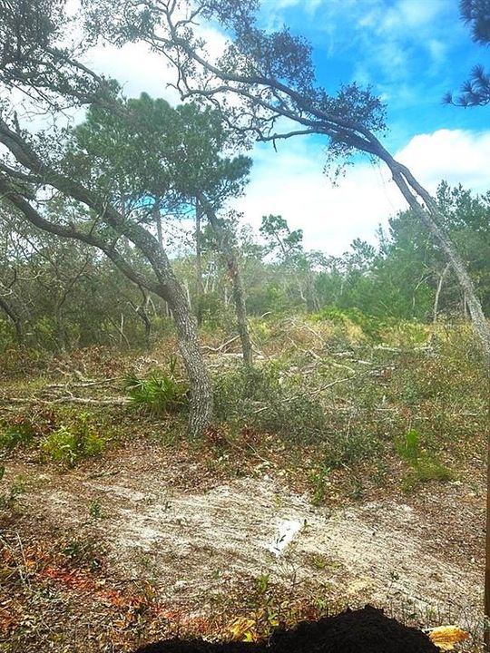 На продажу: $165,000 (5.00 acres)