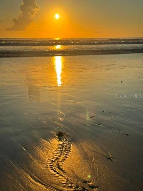 En Venta: $687,000 (2 camas, 2 baños, 1265 Pies cuadrados)