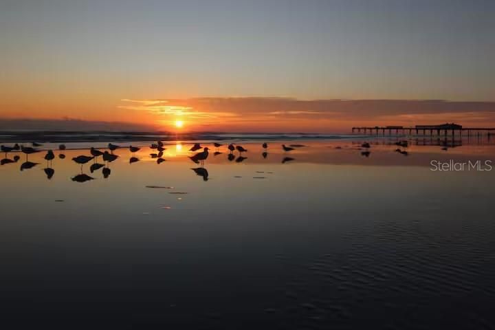 Active With Contract: $129,900 (1 beds, 1 baths, 385 Square Feet)