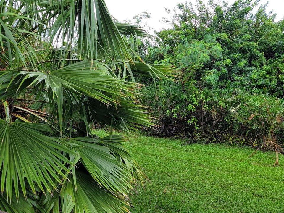 En Renta: $1,400 (2 camas, 1 baños, 868 Pies cuadrados)