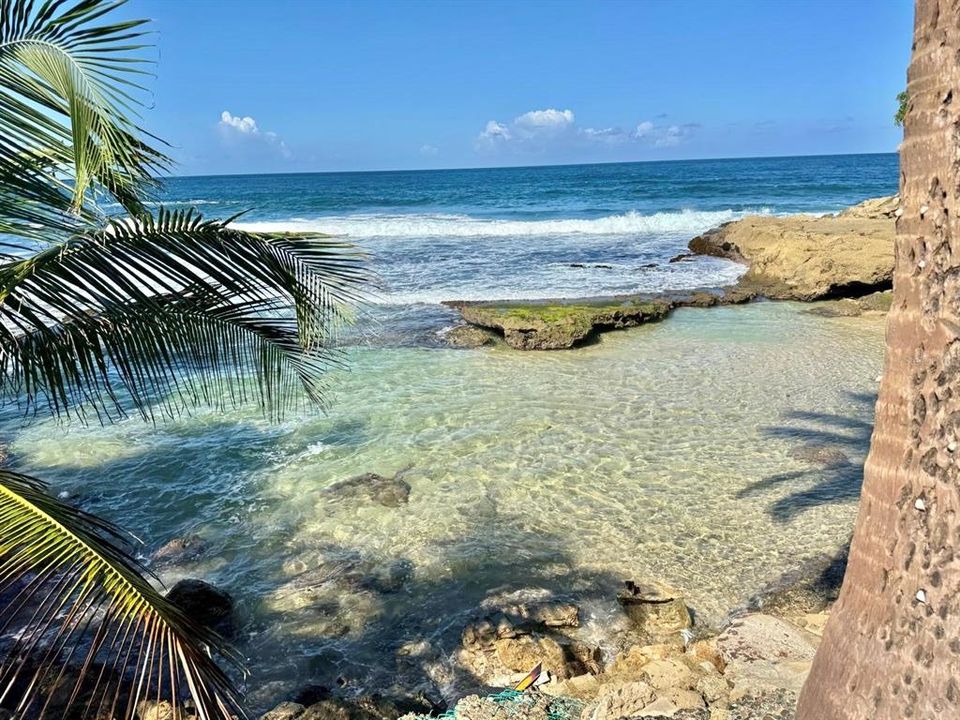 For Sale: $450,000 (4 beds, 4 baths, 595 Square Feet)