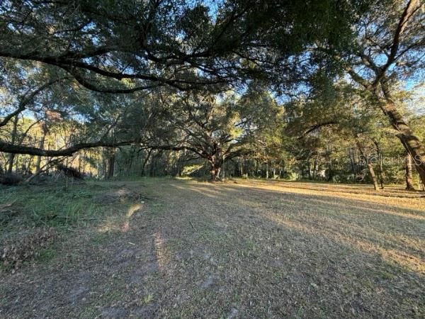 For Sale: $109,000 (4.00 acres)