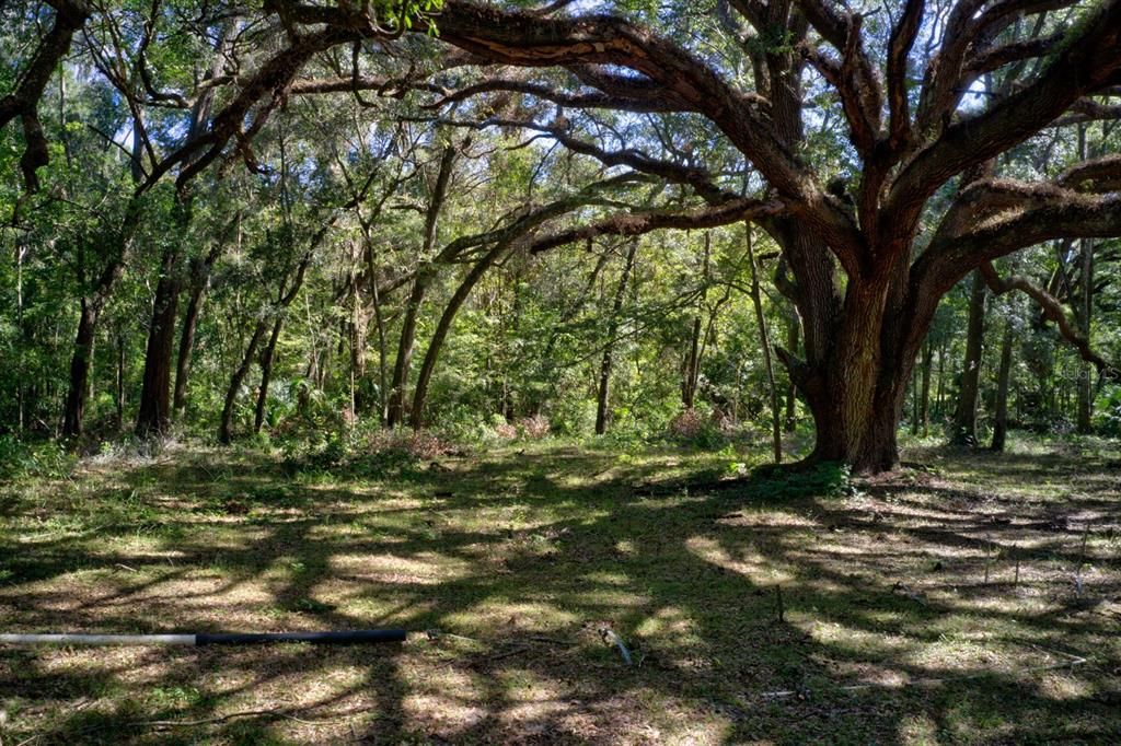 For Sale: $109,000 (4.00 acres)