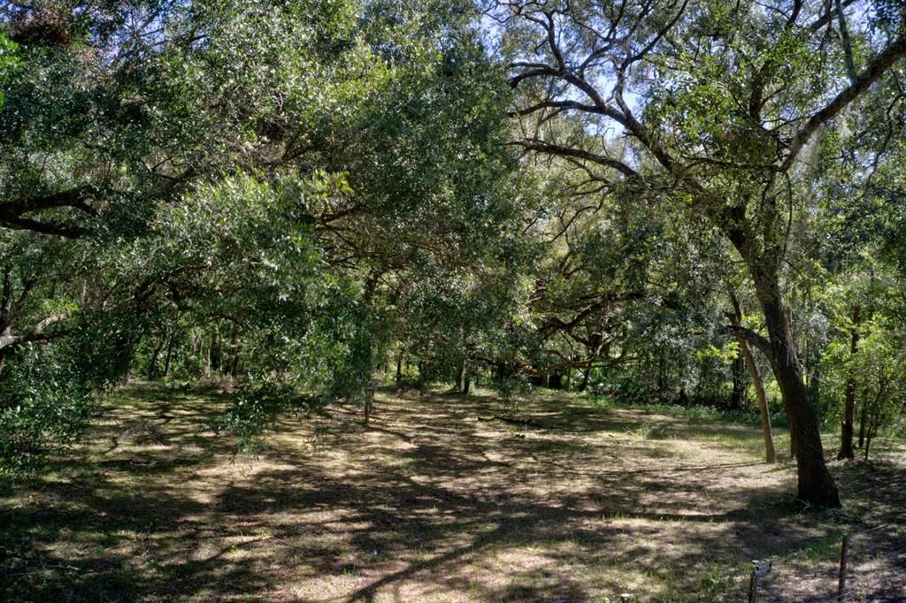 For Sale: $109,000 (4.00 acres)