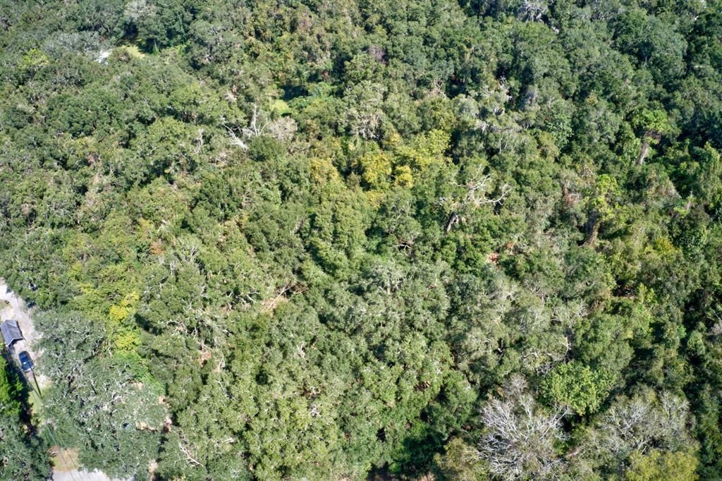 For Sale: $109,000 (4.00 acres)