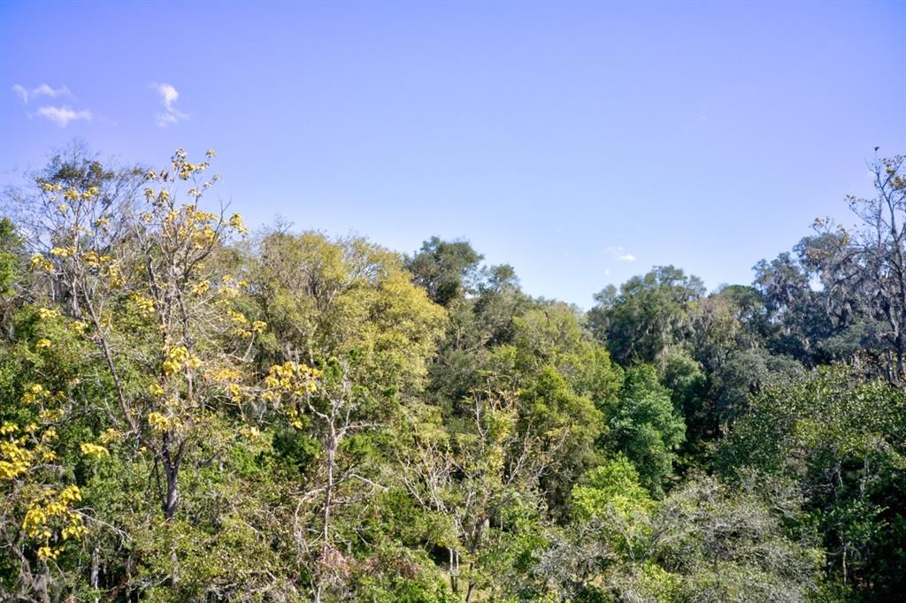 For Sale: $109,000 (4.00 acres)