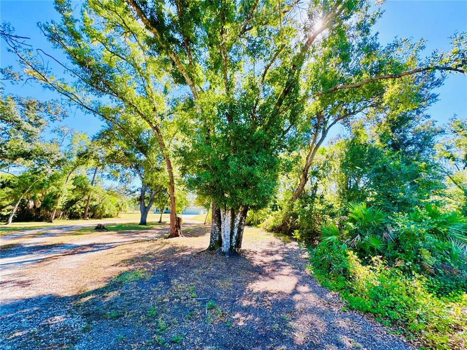 For Sale: $649,900 (3 beds, 2 baths, 1534 Square Feet)