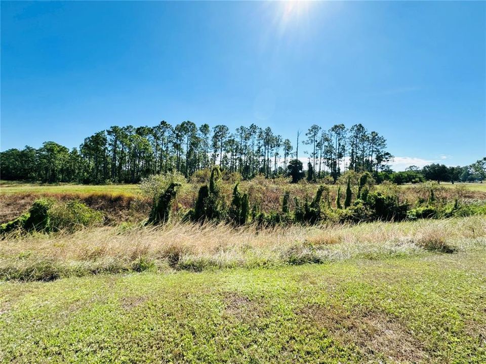 For Sale: $649,900 (3 beds, 2 baths, 1534 Square Feet)