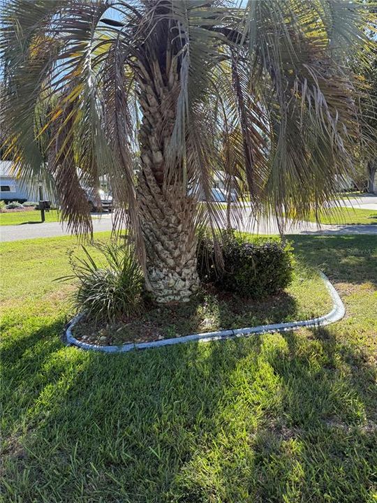 待售: $75,000 (2 贝兹, 2 浴室, 1292 平方英尺)