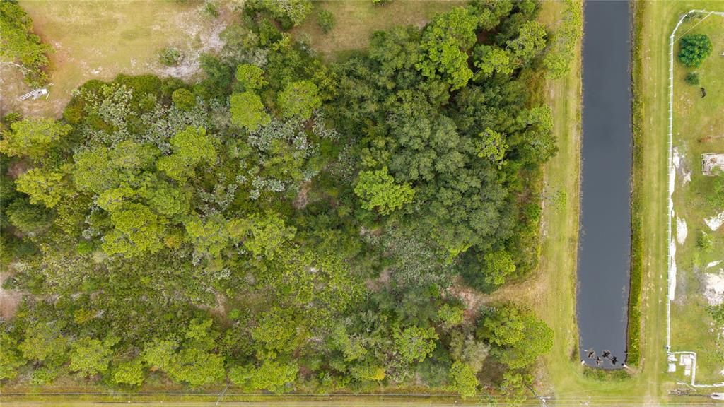 For Sale: $124,500 (0.60 acres)