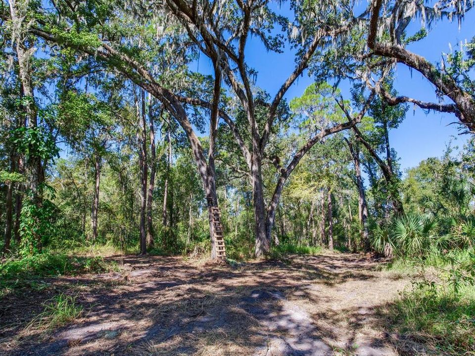 En Venta: $585,000 (37.00 acres)