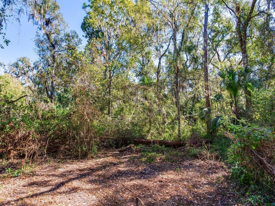 En Venta: $585,000 (37.00 acres)