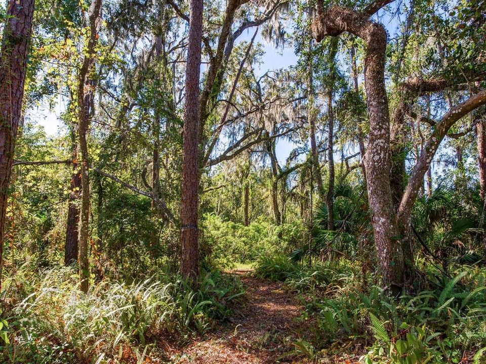 En Venta: $585,000 (37.00 acres)