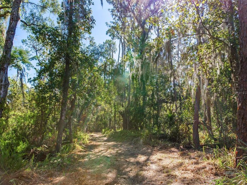 En Venta: $585,000 (37.00 acres)